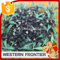 Organic cultivation type new crop black goji berry